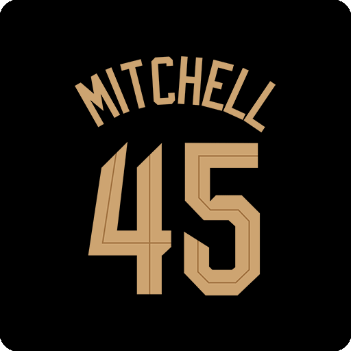 卡通英文字母图案数字45篮球号码