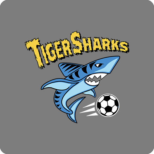 卡通鲨鱼图案手绘鲨鱼踢足球的鲨鱼