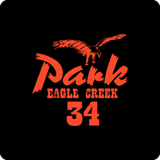 卡通鸟图案卡通老鹰图案手写英文字母